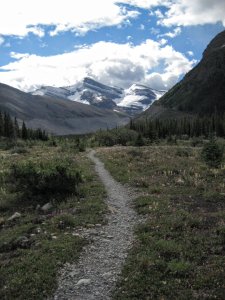 加拿大 Berg Lake D2- Snowbird Pass 步道