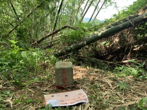 20250830高雄新鳥山