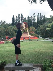 阮梅梅