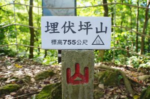 台中 和平 埋伏坪山