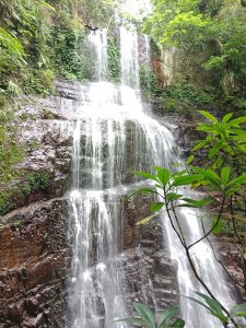 【宜蘭】【月眉坑瀑布】一條郊山步道兼具溯溪的消暑親水路線