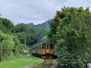 【悠遊深石平】平溪•嶺腳寮山步道|秘境生態淨山健行活動