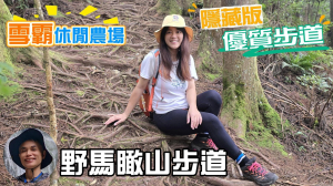 隱藏版的優質步道，雪霸休閒農場野馬瞰山步道，巨木，雷火枯木及各種怪木林立，煞是好看，雲霧飄渺，霧氣圍繞，宛如仙境，漫步在雲端。