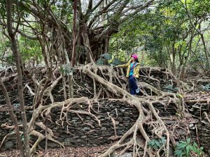 20260227-28 大武藏山-峠山-舊古樓-久保山