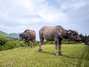 2025-05-03 磺嘴山、翠翠谷