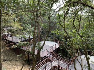 【新聞】碧山露營場『森林營區』4月1日正式開放！