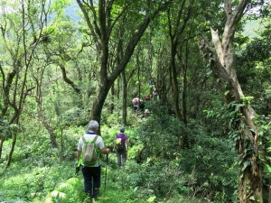 勇闖土匪大道~二坪頂古道尋幽訪古