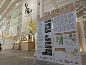 【展覽】「再現 或 再也不見」台灣石虎保育特展 看見石虎的過去與未來