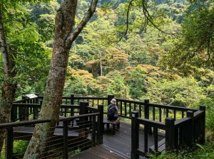 《台中》天籟之音｜八仙山森林遊樂區及谷關20260909