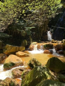 《陽明山秘境健行｜翠峰瀑布 × 天母古道 夏日涼爽路線》