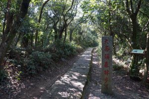 大崙頭尾山親山步道