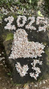 20250504大艽芎古道