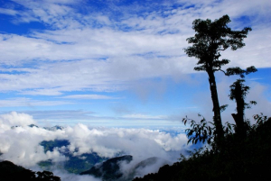 【聖山之路：第二段】鹿林山登山口⮕塔塔加鞍部登山口