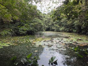 土庫尖古道、土庫岳、山豬窟尖、山豬淚湖