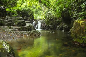 【林美石磐步道】宜蘭縣礁溪鄉林美石磐步道，親子攜遊、情侶浪漫談情，幽幽古意潺潺流水一起感受這森林步道的寧靜美