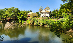 漫步銅鑼圈，銅鏡山林步道之旅