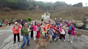 來去馬祖列島 Day 4-1 大坵島/無人島尋自由放飛梅花鹿