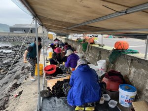 濟州島偶來小路19號，朝天-金寧偶來，19.4公里。大海和山岳小樹林村莊農田不斷地呈現在眼前。只有犀牛峰一個小山丘，其他都是平坦好走的路。