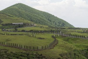 擎天崗.金包里大道(北段).日人路