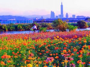 臺北最美風情畫：花海美堤