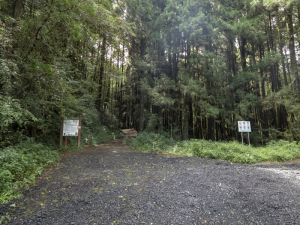 【聖山之路：第一段】自忠⮕鹿林山登山口