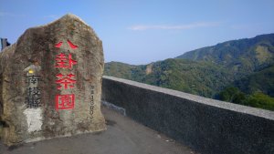 竹山八卦茶園賞櫻
