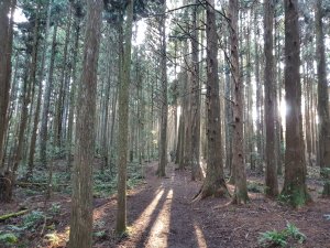 Ryan