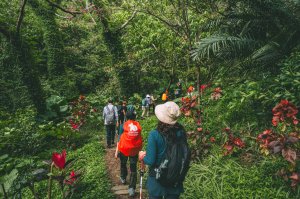 微笑山線步道縱走活動【 大同山秘境 】花的種類多到像莫內的花園，下火車就能遇見「樹林的後花園」