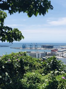 【東北角生態步道小旅行】七星嶺步道一日遊