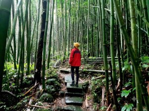 浪漫台三線｜在大山背，與時光溫柔擦身