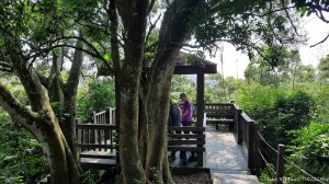 《台中》郊山飆汗｜潭子新田登山步道上聚興山O繞