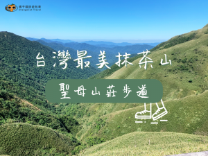 日本攝影師拍出台灣最美抹茶山，宜蘭聖母山莊步道！