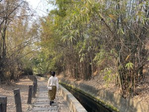 【台中】知高圳步道｜學田山｜老少咸宜的健行路線