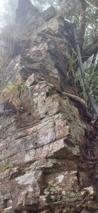 藤枝山.高雄桃源