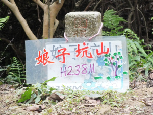 大溪區妙法寺+娘子坑山+烏塗窟山+壽山+龍山寺O型