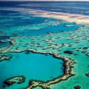 【澳洲】自然奇景的幕後科學－大堡礁