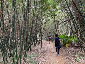 土地公嶺古道