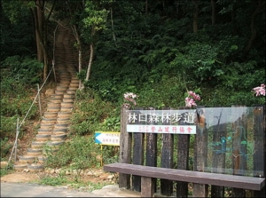 頂福巖森林步道(林口森林步道)