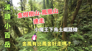金柑樹山連走鳳鳳山