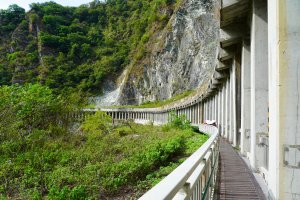 白楊步道水濂洞(蟲蟲隊長小蜜蜂)