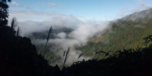 20201206-西油羅山-油羅山-油羅山西北峰-O型