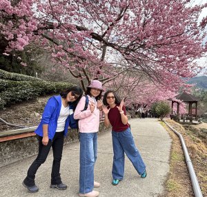 武陵農場車露、賞櫻＋桃山瀑布（二日遊）