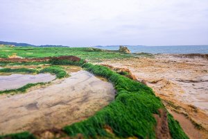 【新聞】春季限定—金門烈嶼獨特的地質景觀