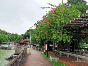 【健康大穀東、走路趣尋寶】內湖碧湖公園、內湖國小、大港墘公園、文德三號公園、瑞陽公園