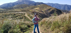 懶人包 | 臺北大縱走第三段，風櫃嘴至小油坑