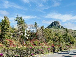 墾丁牌樓九重葛繽紛綻放　木棉含苞迎春