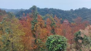 新田三星聚興山林牛山大胡山三山連走