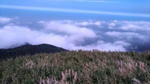 面天山層層雲海美極了!