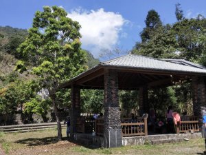 東藤枝山