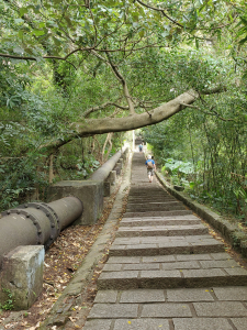 天母圓環＞天母古道＞文化大學